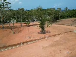 හිරිකැටියෙන් හොදම ඉඩමක්
