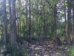 ඔප්පුඉඩම විකිණීමට මුතුකන්ඩිය