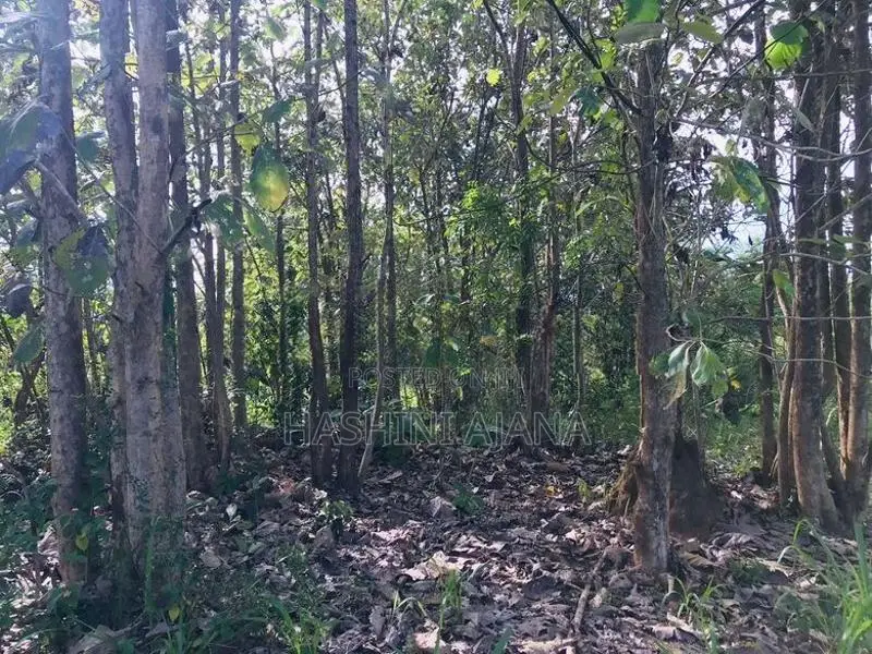 ඔප්පුඉඩම විකිණීමට මුතුකන්ඩිය