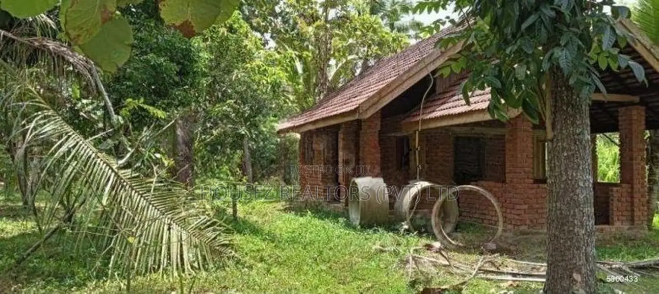 Valuable Coconut Estate with Two Houses for Sale in Sandalankawa