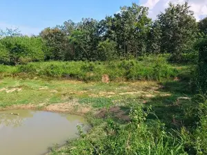 ඔප්පුඉඩම විකිණීමට මුතුකන්ඩිය