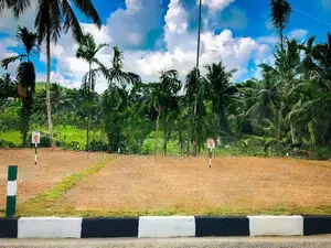 Best Valuable Land for Sale in Wataraka