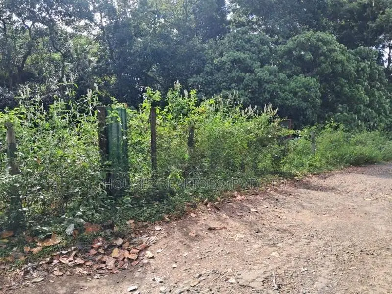 Prime Residential Land for Sale – Digana, Near Victoria Golf Resort