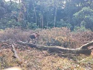 Prime Residential Land for Sale – Digana, Near Victoria Golf Resort