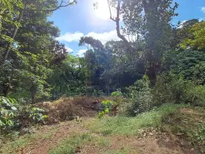 Prime Residential Land for Sale – Digana, Near Victoria Golf Resort
