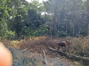 Prime Residential Land for Sale – Digana, Near Victoria Golf Resort