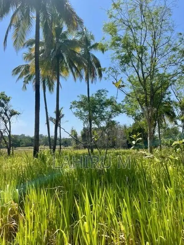 අගනා බිම් කොටසක් ඇතිමලේ