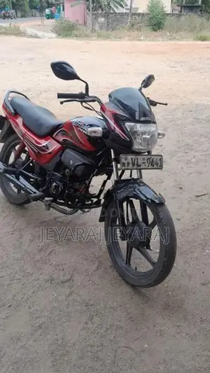 Hero Passion pro 2010