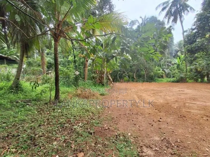 Land for Sale at Botuwadeniya Junction, Thammita.