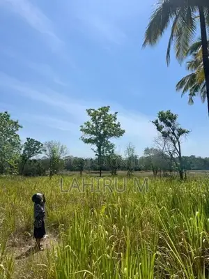 අගනා බිම් කොටසක් ඇතිමලේ