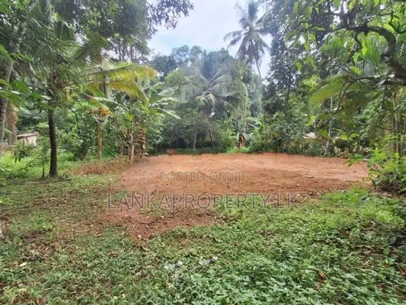 Land for Sale at Botuwadeniya Junction, Thammita.