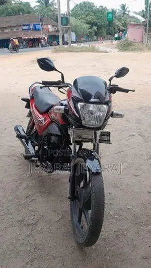Hero Passion pro 2010