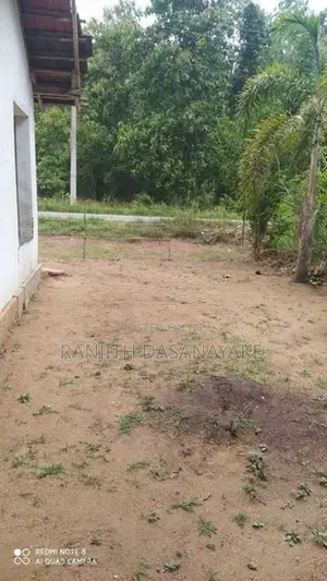 Land For Sale Buttala