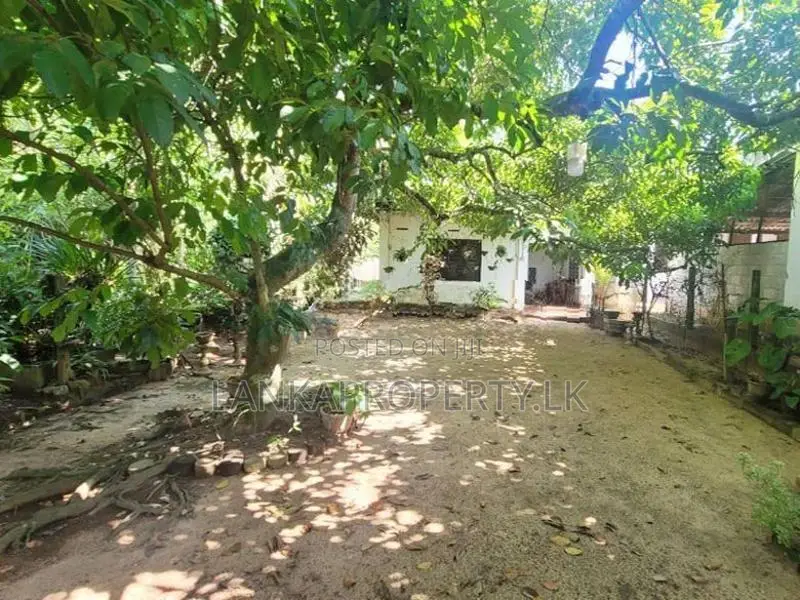 Commercial cum Residential Land for Sale – Udugampola, Gampaha.