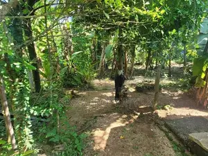 Commercial cum Residential Land for Sale – Udugampola, Gampaha.