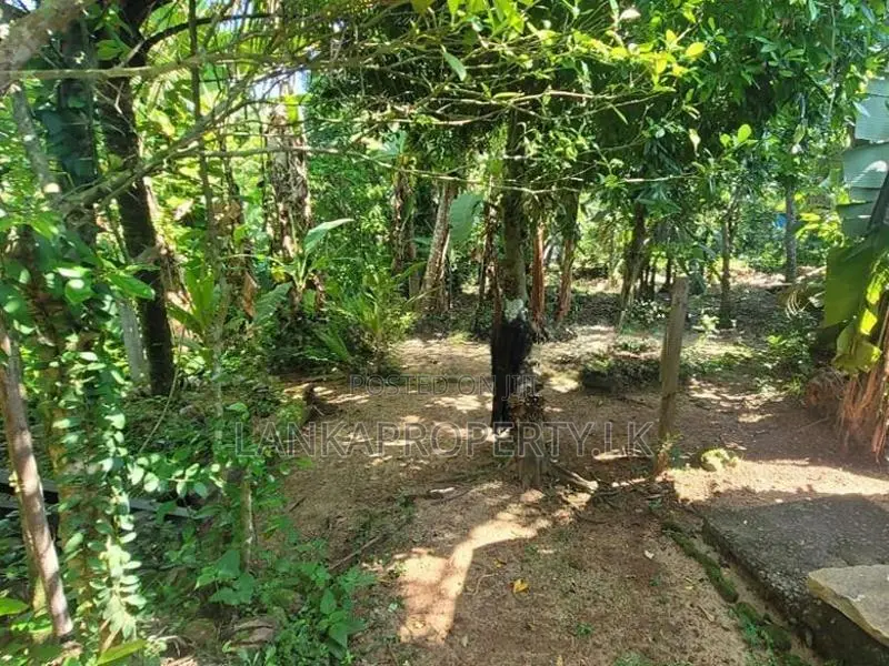 Commercial cum Residential Land for Sale – Udugampola, Gampaha.
