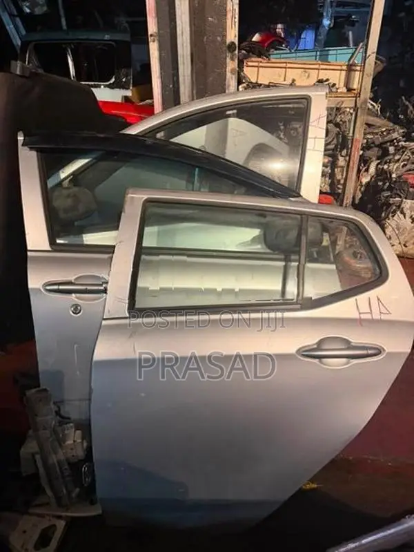 Perodua Axia door