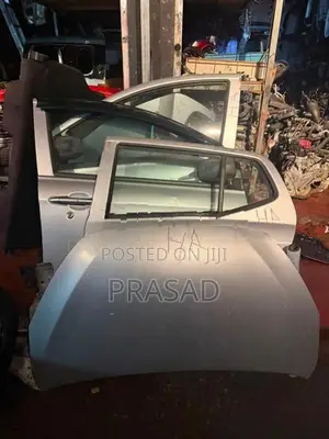 Perodua Axia door
