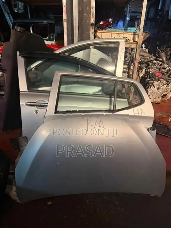 Perodua Axia door