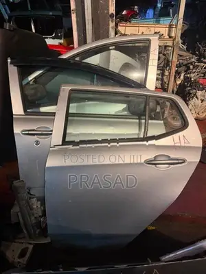 Perodua Axia door