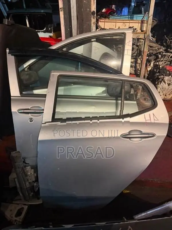 Perodua Axia door