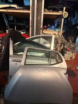 Perodua Axia door