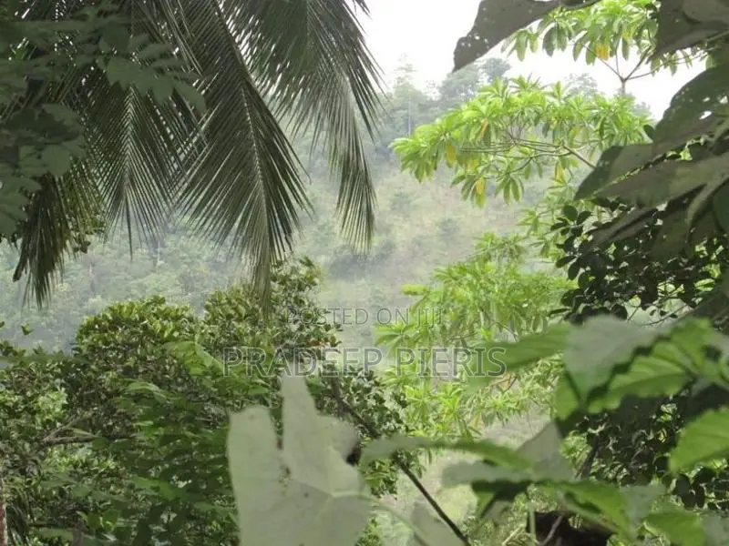 Land for Sale Cabana Project-Narampanawa