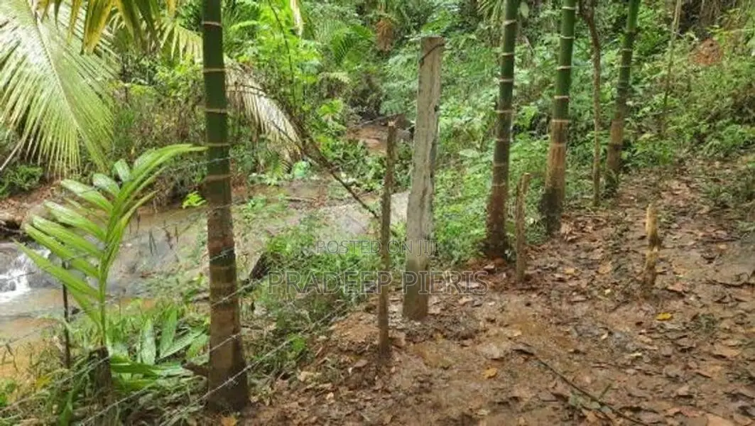 Land for Sale Cabana Project-Narampanawa