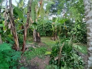 Commercial Property for Sale in Gampaha Miriswatta Wathuregama Road