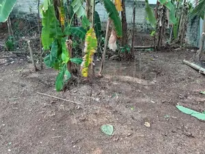 Land for Sale in Ragama