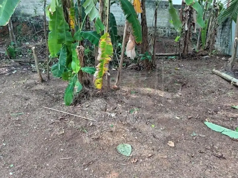 Land for Sale in Ragama