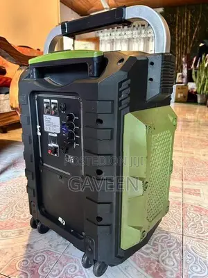 Olan Portable Partybox Karaoke Speaker