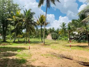 කුරුණෑගල පොතුහැරින් නේවාසික බිම් කොටස් විකිණීමට
