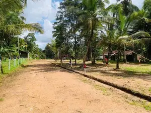 කුරුණෑගල පොතුහැරින් අගනා ඉඩම් කොටසක්