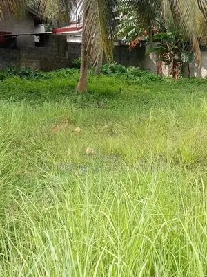 Prime Residential Land for Sale – Kurana, Negombo
