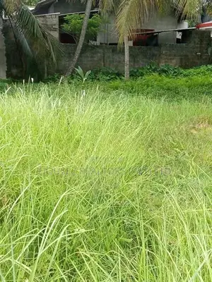 Prime Residential Land for Sale – Kurana, Negombo