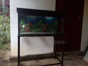 SANJEEWA