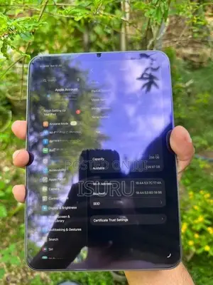 Ipad Mini 6 256gb Wifi Model (2021)