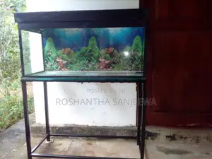 SANJEEWA