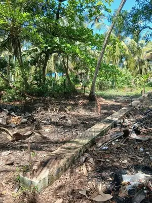 Land in Usetakeiyawa- Wattala