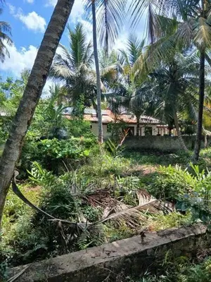Land in Usetakeiyawa- Wattala