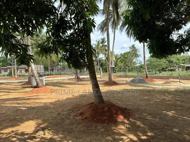 Land for Sale in Anuradhapura Saliyamawatha