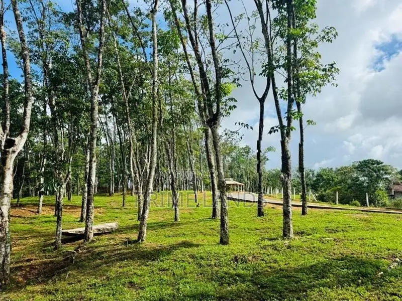 හොරන නගරයට ළගින් වටිනා බිම්කොටස්