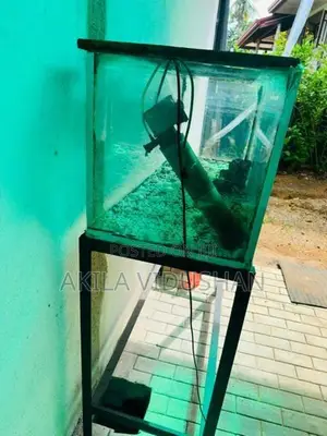 Fish Tank 4ft x 1.5ft with Iron Stand, Roof Filter