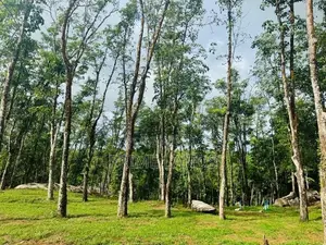 හොරන නගරයට ළගින් වටිනා බිම්කොටස්