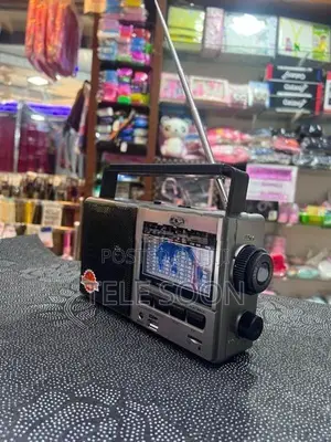 Radio EPE Recharge (FP-901BT)