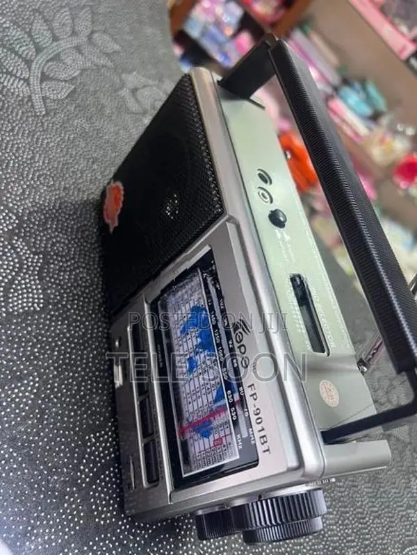Radio EPE Recharge (FP-901BT)