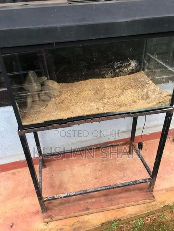 fish tank
