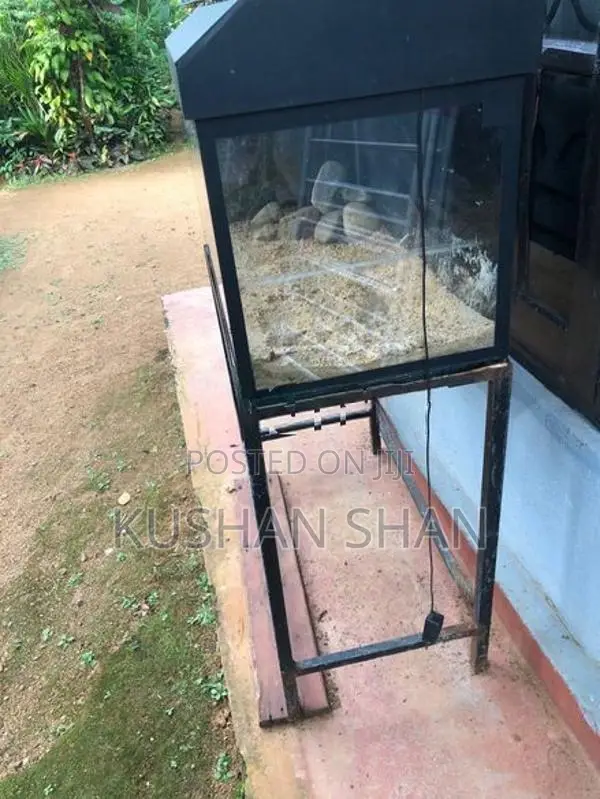 fish tank