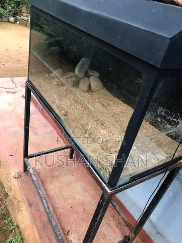 fish tank